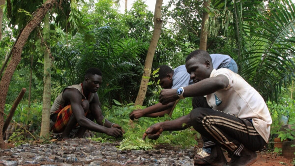 La préservation des forêts communautaires, un autre chantier du gouvernement