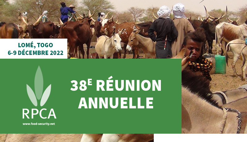 38&egrave;meÂ r&eacute;union annuelle du RPCA &agrave; Lom&eacute;:  Le leadership du pr&eacute;sident Faure fait du Togo, un acteur majeur de la s&eacute;curit&eacute; alimentaire et nutritionnelle en Afrique